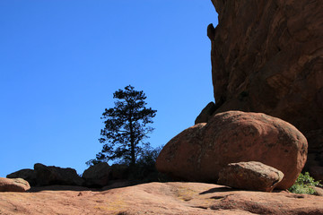 Landscape with red rock