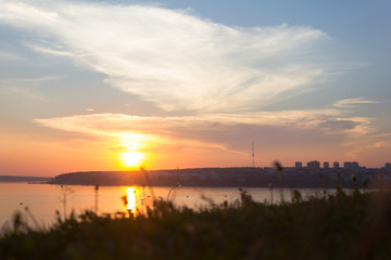 Fototapeta premium grass