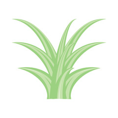 plant icon image