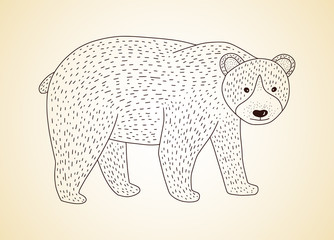 Outline vector grizzly bear icon. Detailed animal forest illustration.