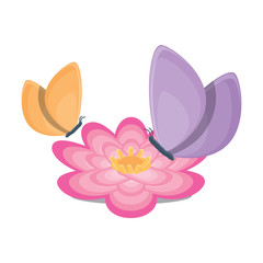beautiful butterfly icon