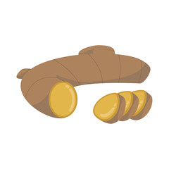 Vector ginger illustration isolated in cartoon style. Herbs and Species Series