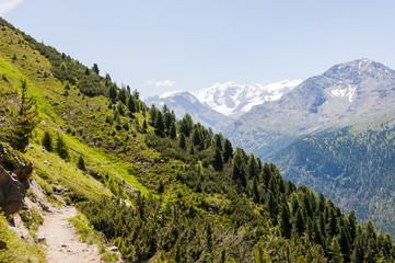 Fototapeta na wymiar Pontresina, Muottas Muragl, Piz Palü, Rosatschgruppe, Diavolezza, Wanderweg, Panoramaweg, Bernina, Oberengadin, Graubünden, Sommer, Schweiz