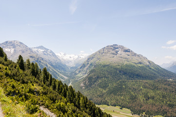 Fototapeta na wymiar Pontresina, Val Roseg, Roseggletscher, Wanderweg, Muottas Muragl, Alpen, Oberengadin, Graubünden, Sommer, Schweiz