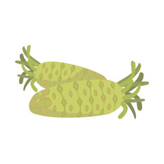 Vector wasabi illustration isolated in cartoon style. Herbs and Species Series