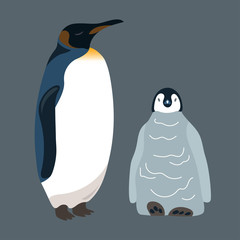 Penguin and little penguin. Vector illustration.