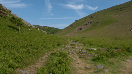 The Valley of Rocks in north Devon, England west of the village Lynton