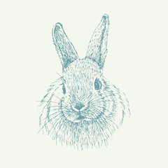 Rabbit sketch. Hand drawn vector illustration.
