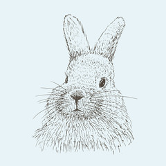 Rabbit sketch. Hand drawn vector illustration.