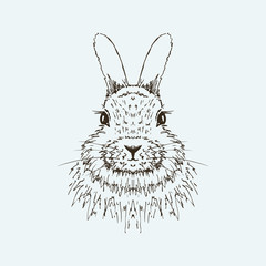 Rabbit sketch. Hand drawn vector illustration.