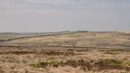 Exmoor National Park with highest point Dunkery Beacon