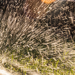 Splashing water to water the lawn as a background