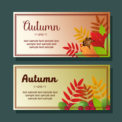 Fototapeta na wymiar foliage autumn horizontal banner