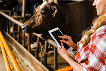 cropped image of farmer using tablet in stable