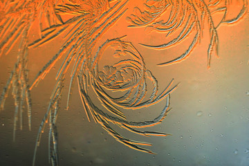 Gold frost drawings on the glass as a background