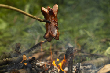 Roast sausage over the fire. Sliced sausages. Sausage impaled on a stick. Fast dinner camping in the countryside. Hot dogs over a small campfire. Grilling sausages over an open fire outdoors.