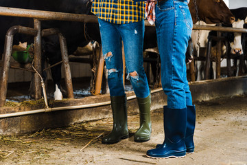 cropped image of couple of farmers standing in stable in rubber boots