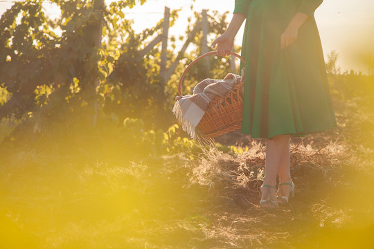 A girl with a basket walks through the forest.