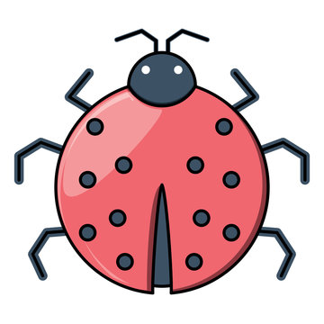 ladybug icon image