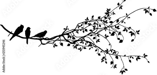 "ast mit vögel silhouette" stockfotos und lizenzfreie