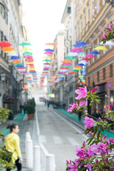 pink flowers and colored umbrellas over the street frame