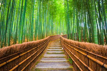 Naklejka premium Kioto, Japonia Bambusowy las