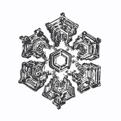 Snowflake on white background. This vector illustration based on macro photo of real snow crystal: large star plate with fine hexagonal symmetry, six short, broad arms and complex inner details.