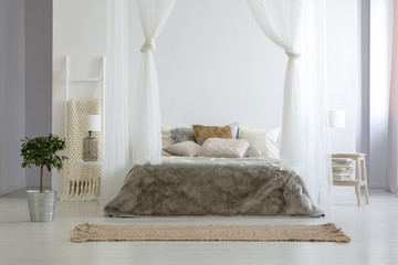 Fototapeta na wymiar Plant next to beige bed in bright canopy bedroom interior with brown carpet and lamp. Real photo