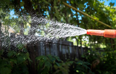 Obraz na płótnie Canvas Spray and spray of water from the hose for irrigation of the garden
