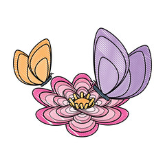 beautiful butterfly icon