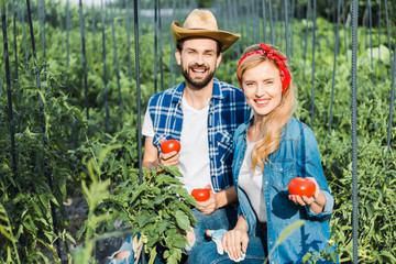 happy couple of farmers holding ripe tomatoes in field at farm and looking at camera