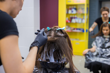 Professional hairdresser, stylist doing hairstyle of female client at salon, studio. Beauty and haircare concept