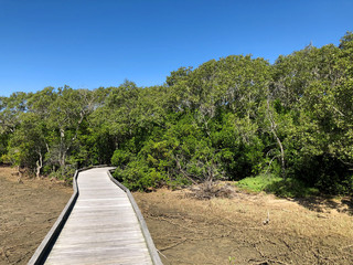 Boondall Wetlands Walk Path