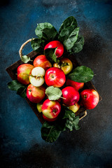 Raw fresh apples on dark blue background, copy space
