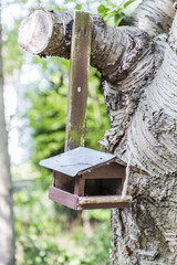 Old wooden birdhouse nailed to tree