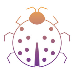 ladybug icon image