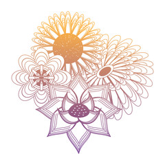 beautiful flowers design