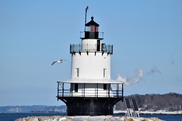 winter lighthouse and bird