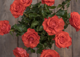Home red roses on a wooden table flat lay. Copy space