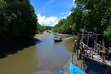 Beautiful Pak nam prasae rayong beach. Natural mangrove forest view in the Rayong bay Thailand....