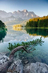 Fototapeten A look at the famous lake Eibsee in sunligth. © Leonid Tit