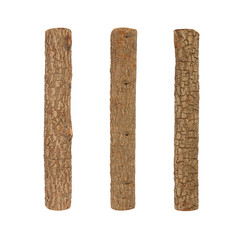  branches isolated on white background