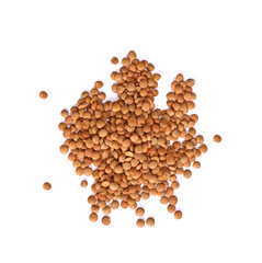 Brown Lentils isolated on white background