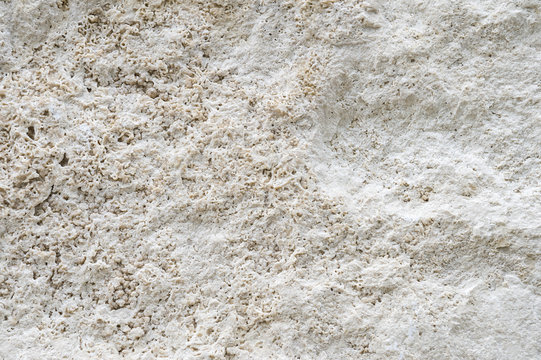 Background of beautiful natural coral stone block