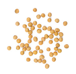 soybean isolated on white background, top view