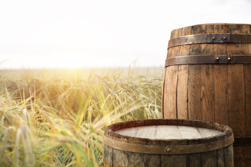 Two glass of beer with wheat background on wooden table