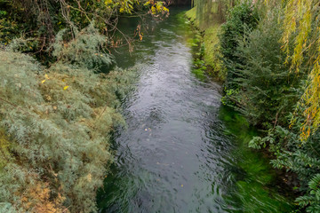 Scenic of canal in treviso