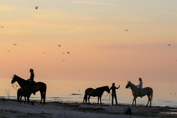 Frauen abends mit Pferden am Meer