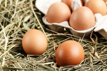 brown chicken eggs