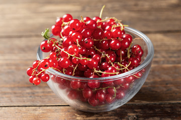 Red currant in a glass plate side view